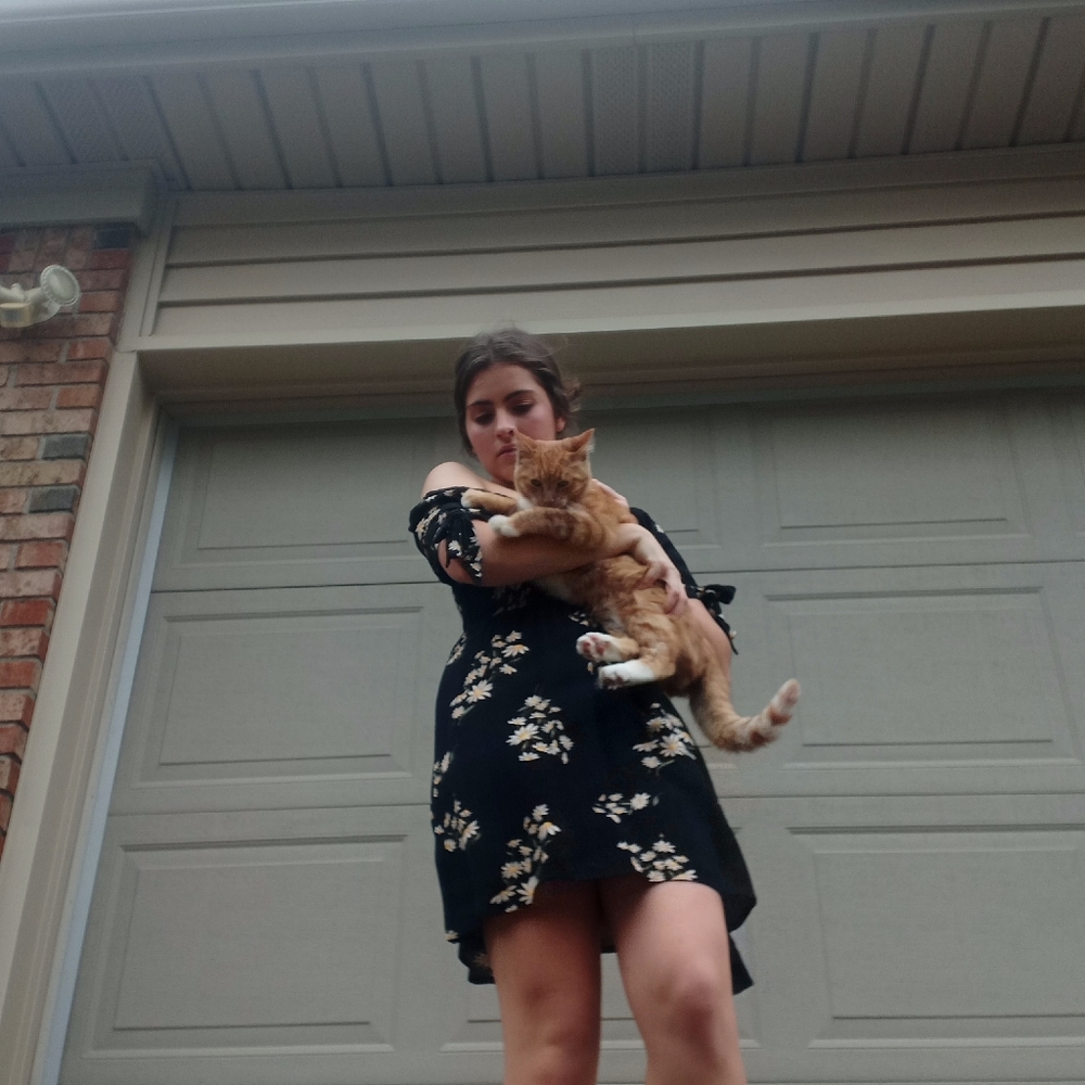 Meet your Posher, Audrey